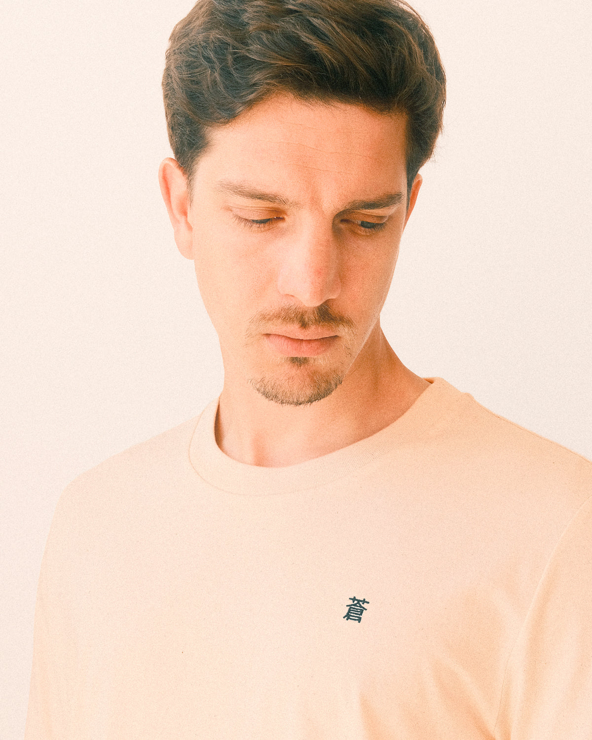 Path to Blau | 蒼への道 t-shirt